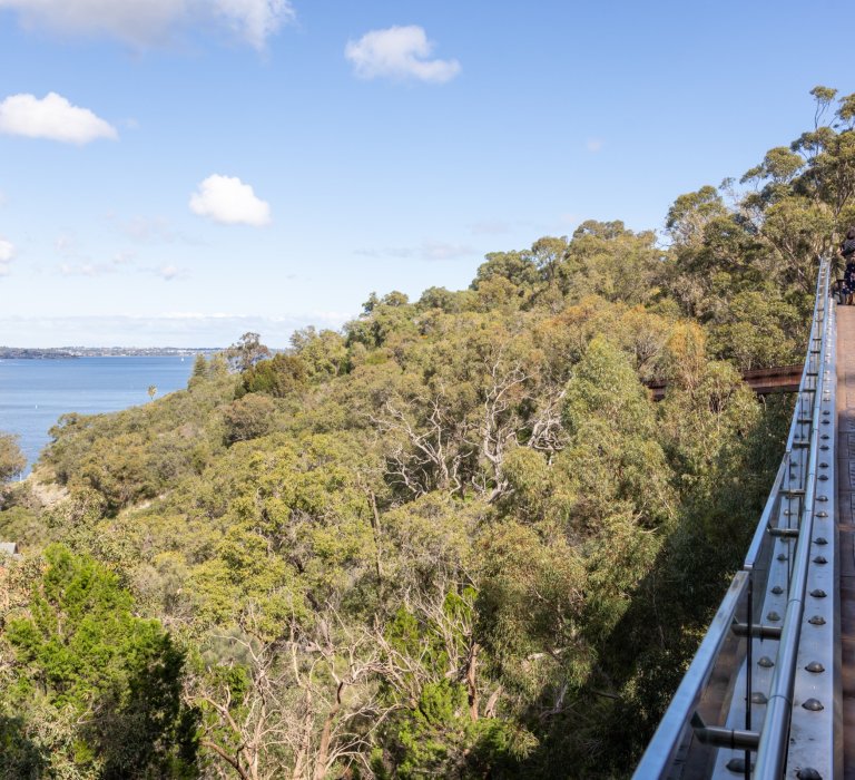 The Vista Bridge and view of the swan river