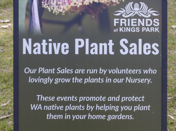 Plant sales Image