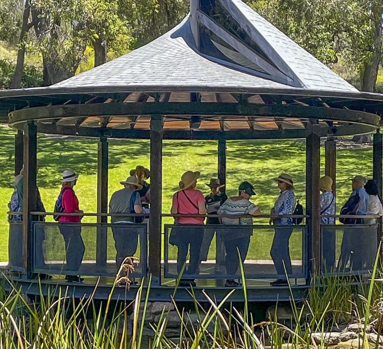 Learn how women have contributed to the development of our state and the connections they have had to Kings Park throughout history. image