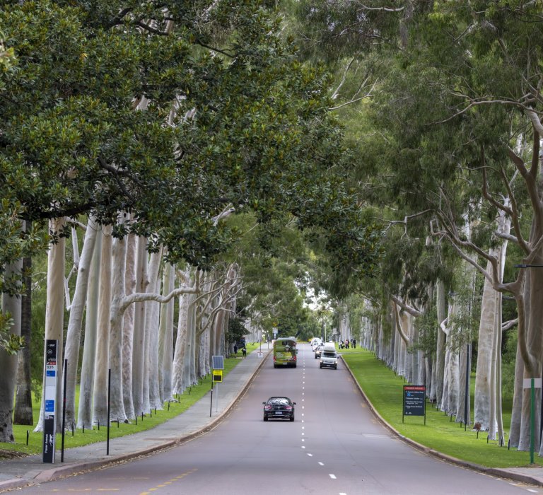 Take a walk along Fraser Avenue to acknowledge the women who brought about changes for the equity and welfare of women and children in WA. image