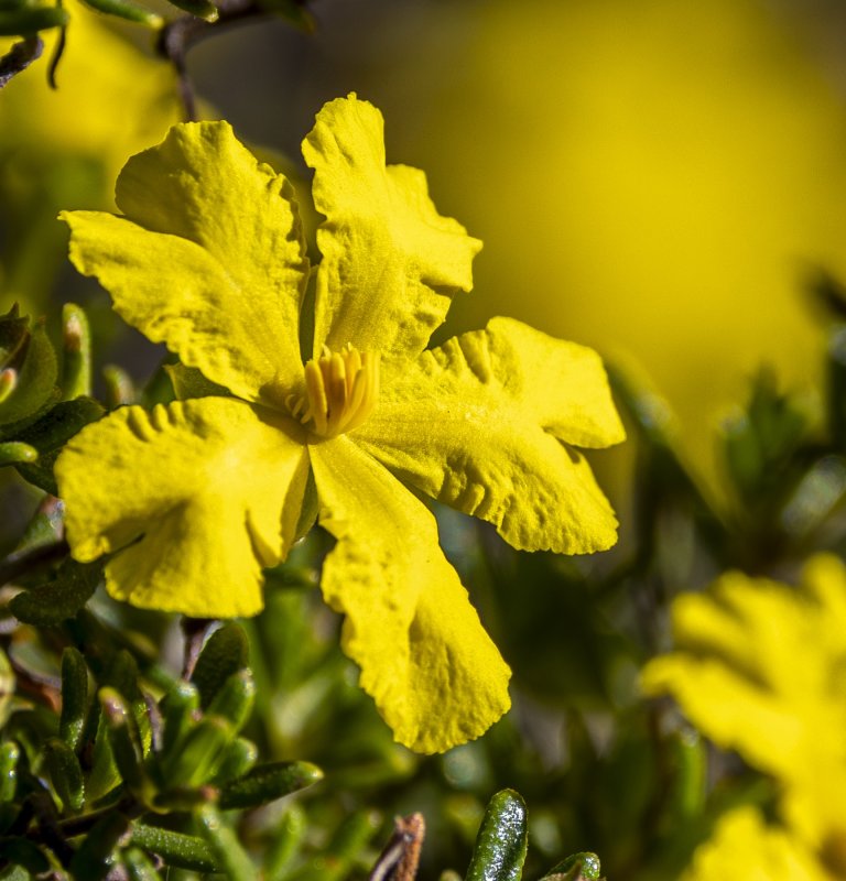 Seasonal Walks Image