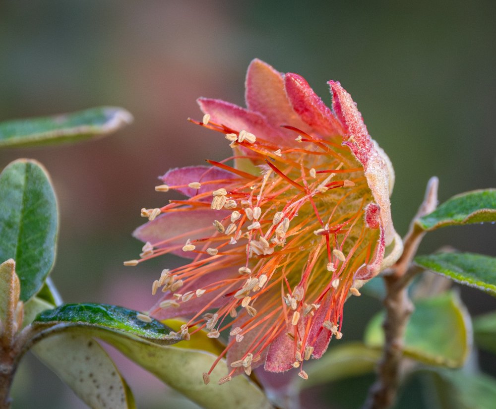 Seasonal guided walks begin Image