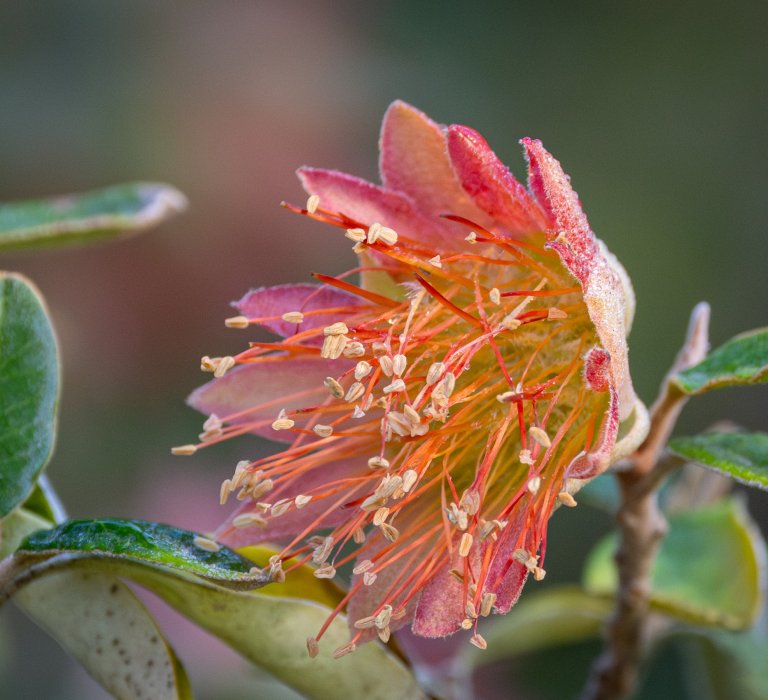 Seasonal guided walks begin Image