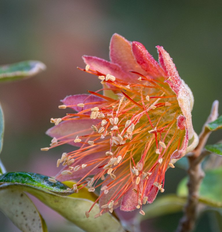 Seasonal guided walks begin Image