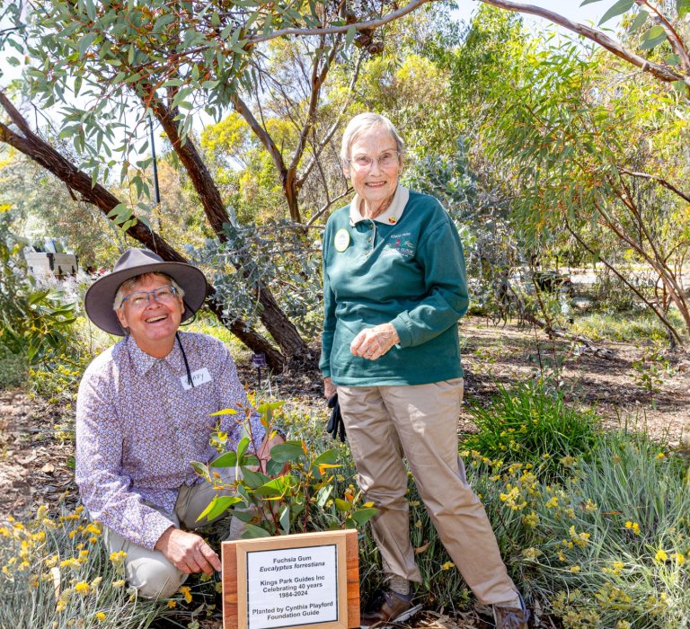 Kings Park Guides celebrate 40 years of guiding Image