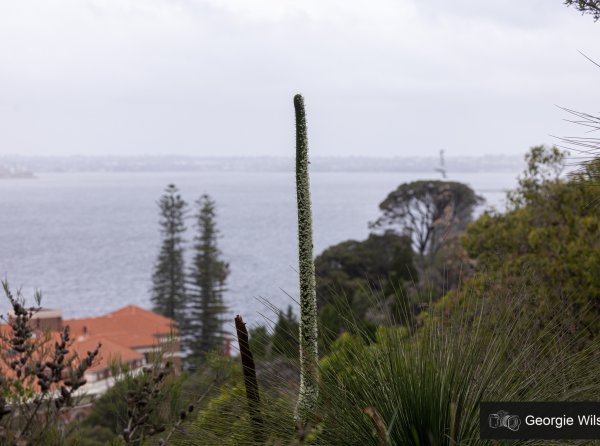 Water Views and Wilderness Image